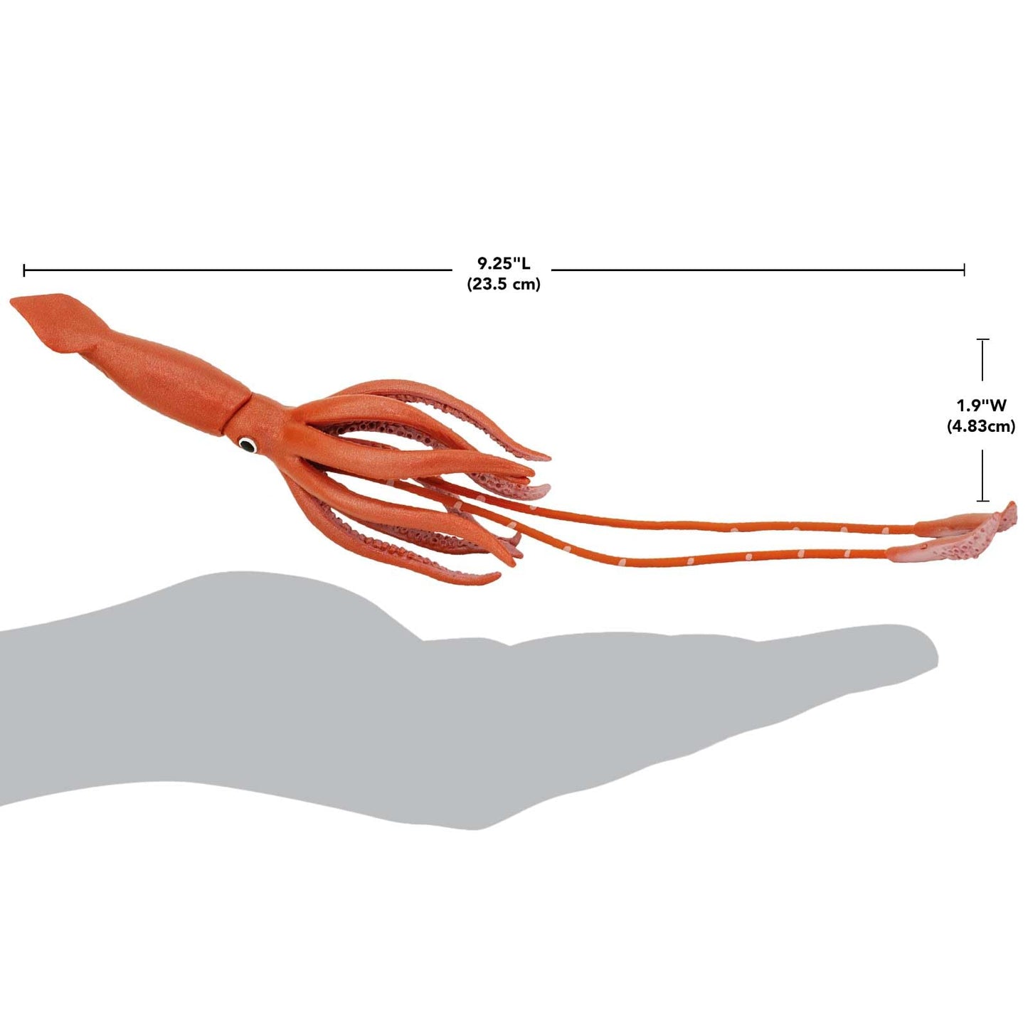 Safari Ltd. Giant Squid Figurine - Realistic 9.5" Sea Creature Figure - Educational Toy for Boys, Girls, and Kids Ages 3+