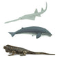 Safari Ltd. Endangered Marine Species TOOB - Figures of Whales, Marine Iguana, Galapagos Penguin, Sea Lion, Spotted Eagle Ray, Sawfish, Hammerhead