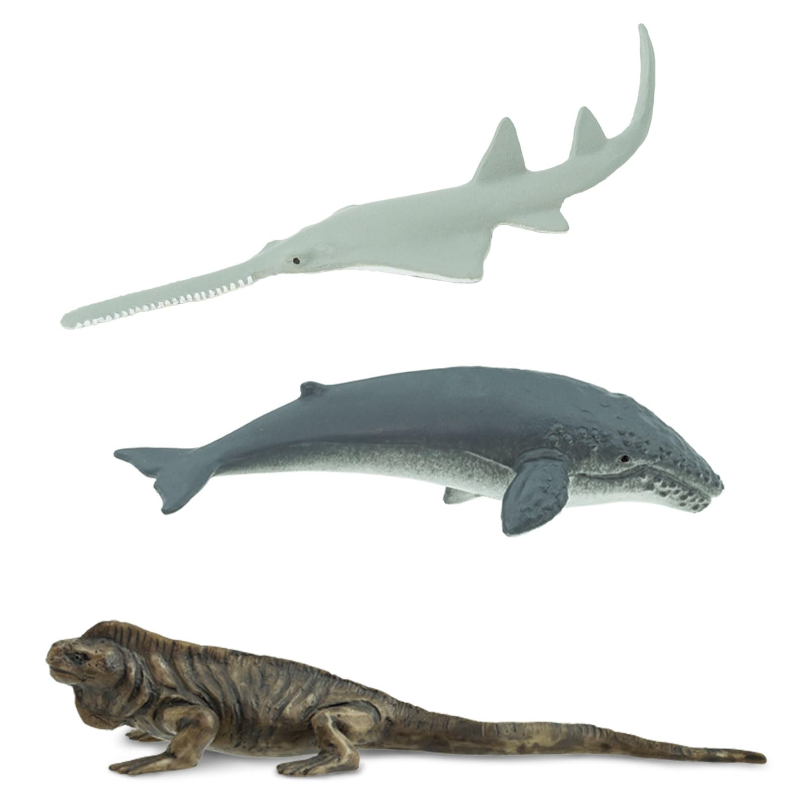 Safari Ltd. Endangered Marine Species TOOB - Figures of Whales, Marine Iguana, Galapagos Penguin, Sea Lion, Spotted Eagle Ray, Sawfish, Hammerhead