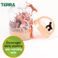 Terra by Battat - 60 Pieces Wild Creatures Tube - Realistic Mini Animal Figurines - Lion, Hippo, Tiger, Bear & More Safari Animals - Educational Toys