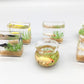 1Pcs Multicolour Mini Round Fish Tank Realistic Glass Decor for Dollhouse Display Captivating Miniature for Crafts Ornaments Handmade