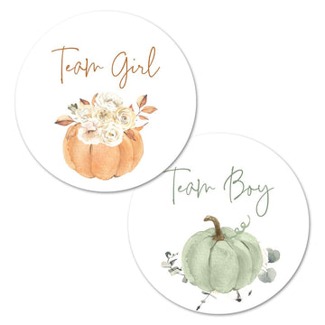 Boho Pumpkin Gender Reveal Stickers - 40 Labels (20 of Each Design)