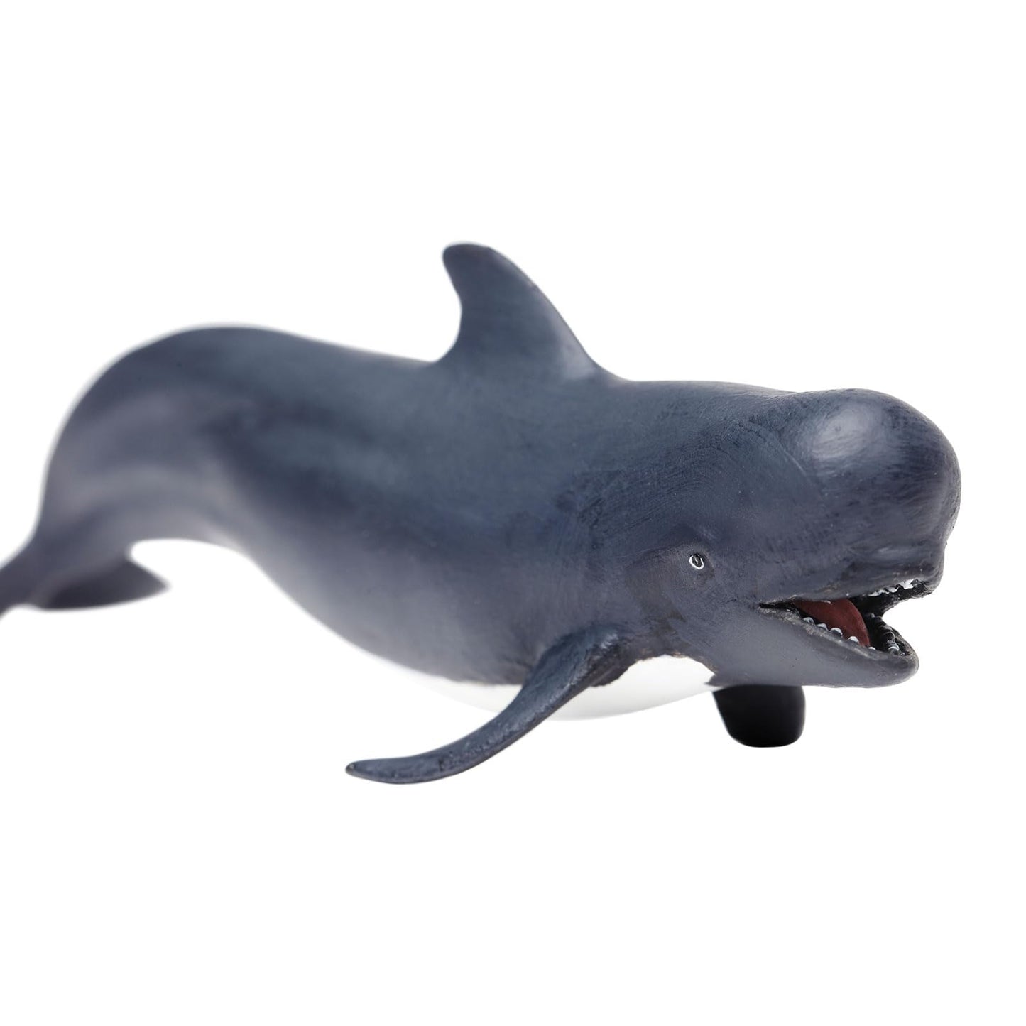 Safari Ltd. Pilot Whale Figurine - Lifelike 5.75" Model Figure - Educational Toy for Boys, Girls, and Kids Ages 3+