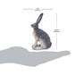 Safari Ltd. American Desert Hare Figurine - Detailed 3" Plastic Model Figure - Fun Educational Play Toy for Boys, Girls & Kids Ages 3+