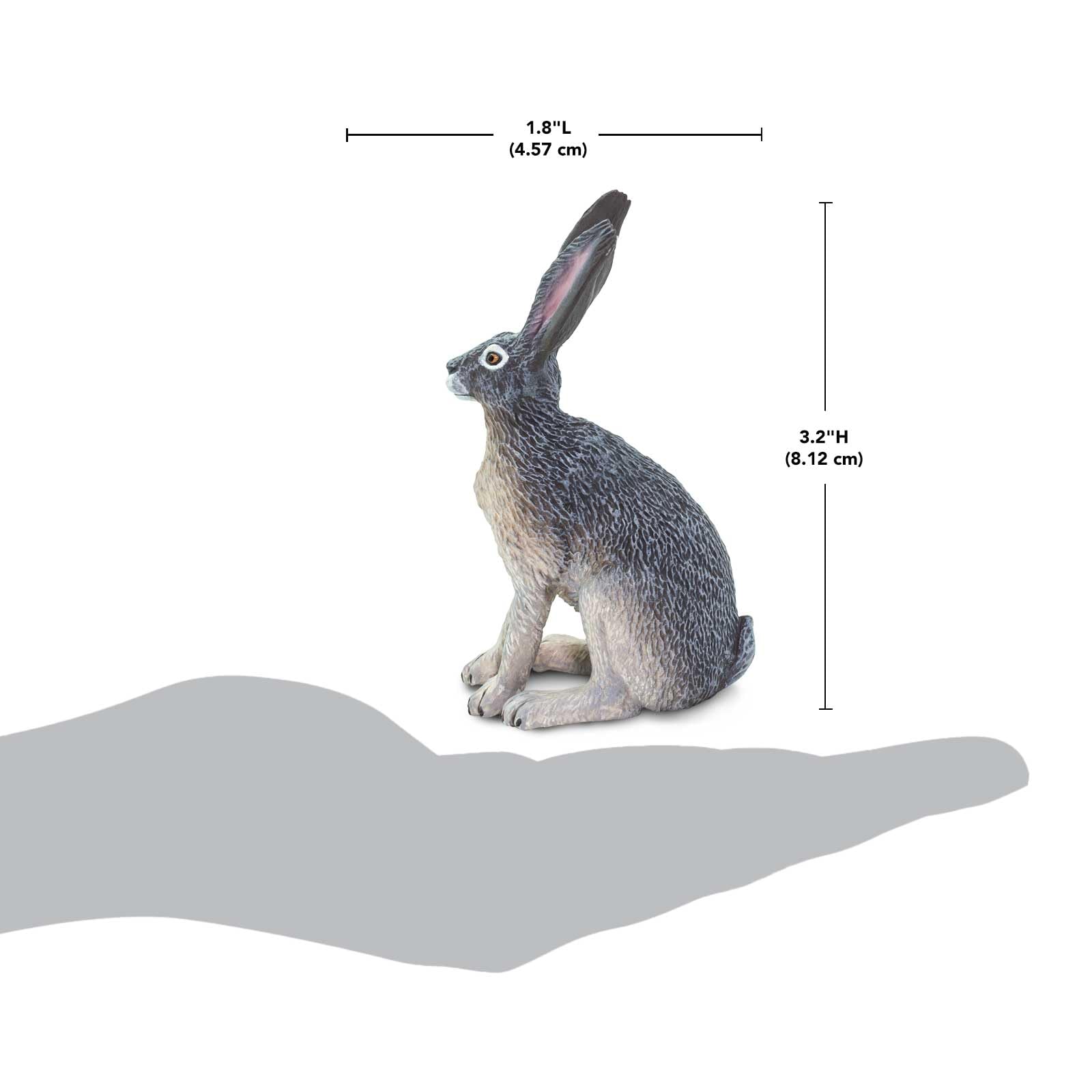Safari Ltd. American Desert Hare Figurine - Detailed 3" Plastic Model Figure - Fun Educational Play Toy for Boys, Girls & Kids Ages 3+