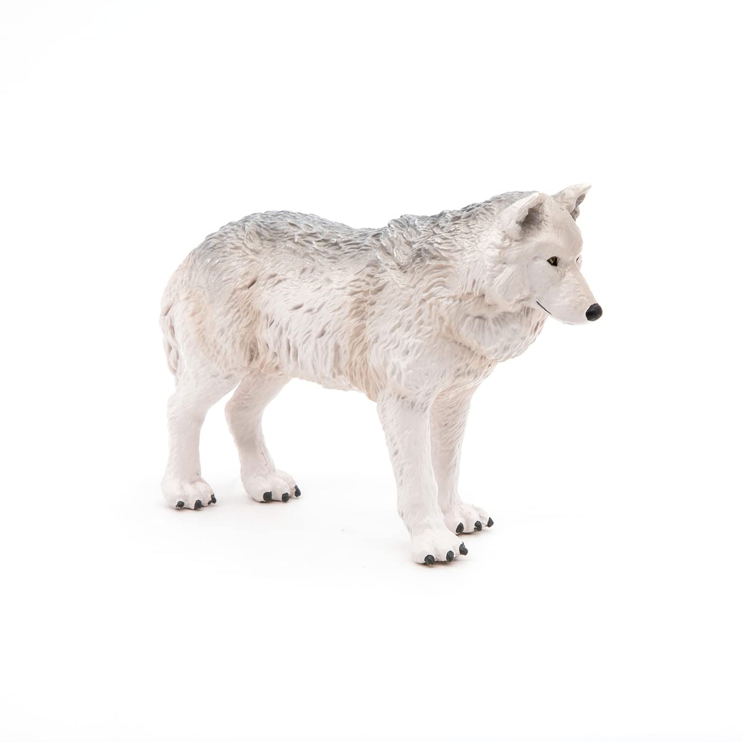 Papo - Realistic Polar Wolf Figure - Ages 3+ - Wild Life Collection - Educational Play Polar Animals - Gift Idea Toy for Girls and Boys