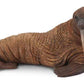 CollectA Sea Life Walrus Toy Figure - Authentic Hand Painted Model