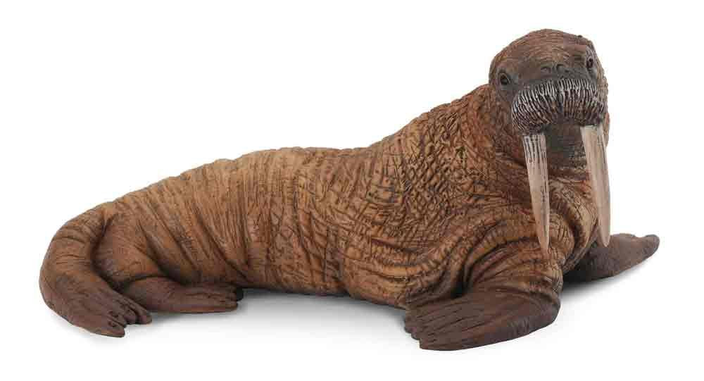 CollectA Sea Life Walrus Toy Figure - Authentic Hand Painted Model