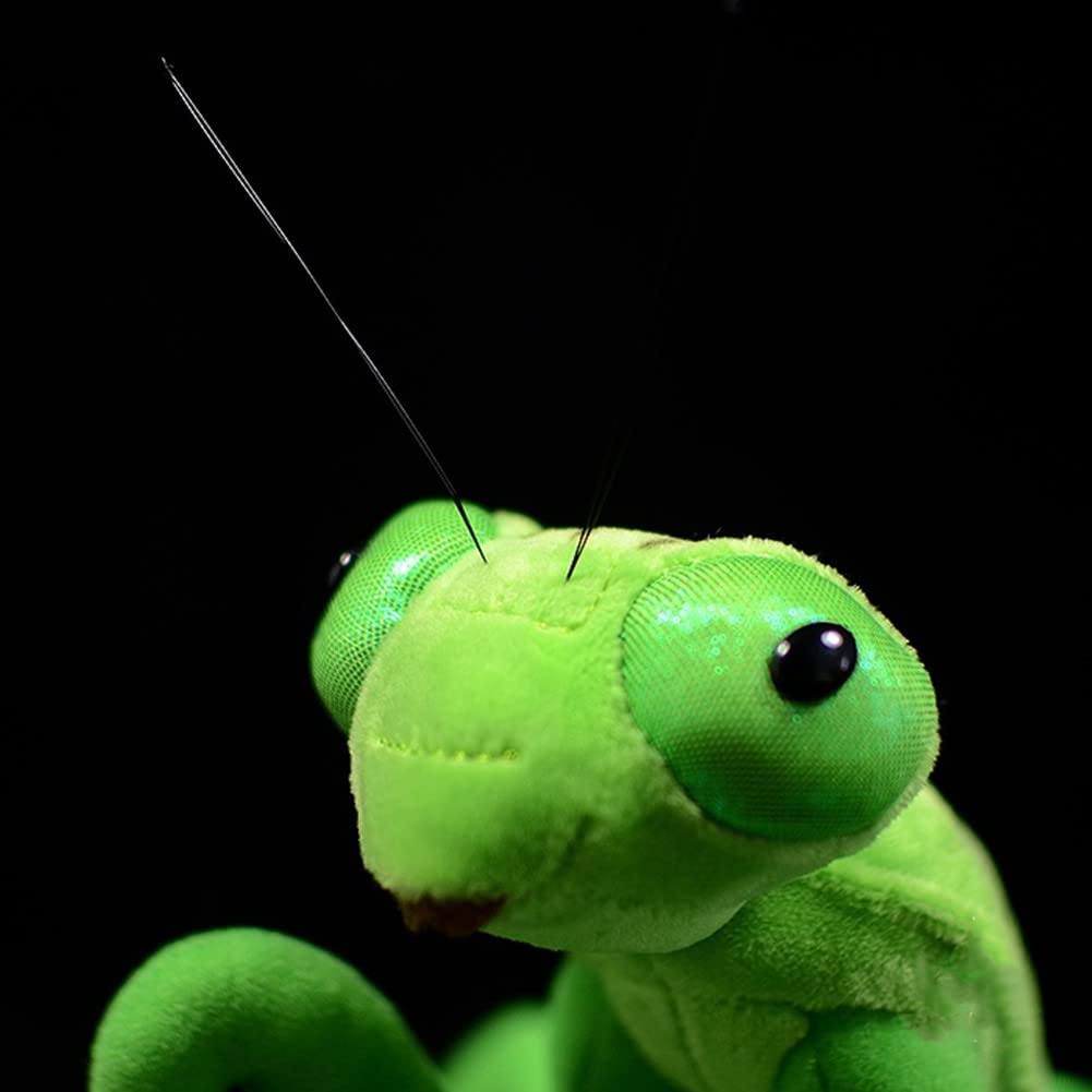 FRANKIEZHOU Simulation Green Chinese Mantis Plush,Mantis Stuffed Animal, Plush Toy,Soft Toy,Stuffed Toy,Cuddly Toys,Gifts for Kids,12 Inches Long