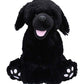 Stuffems Toy Shop Make Your Own Stuffed Animal 16" "Shadow the Black Labrador - No Sew - Kit with Cute Backpack!