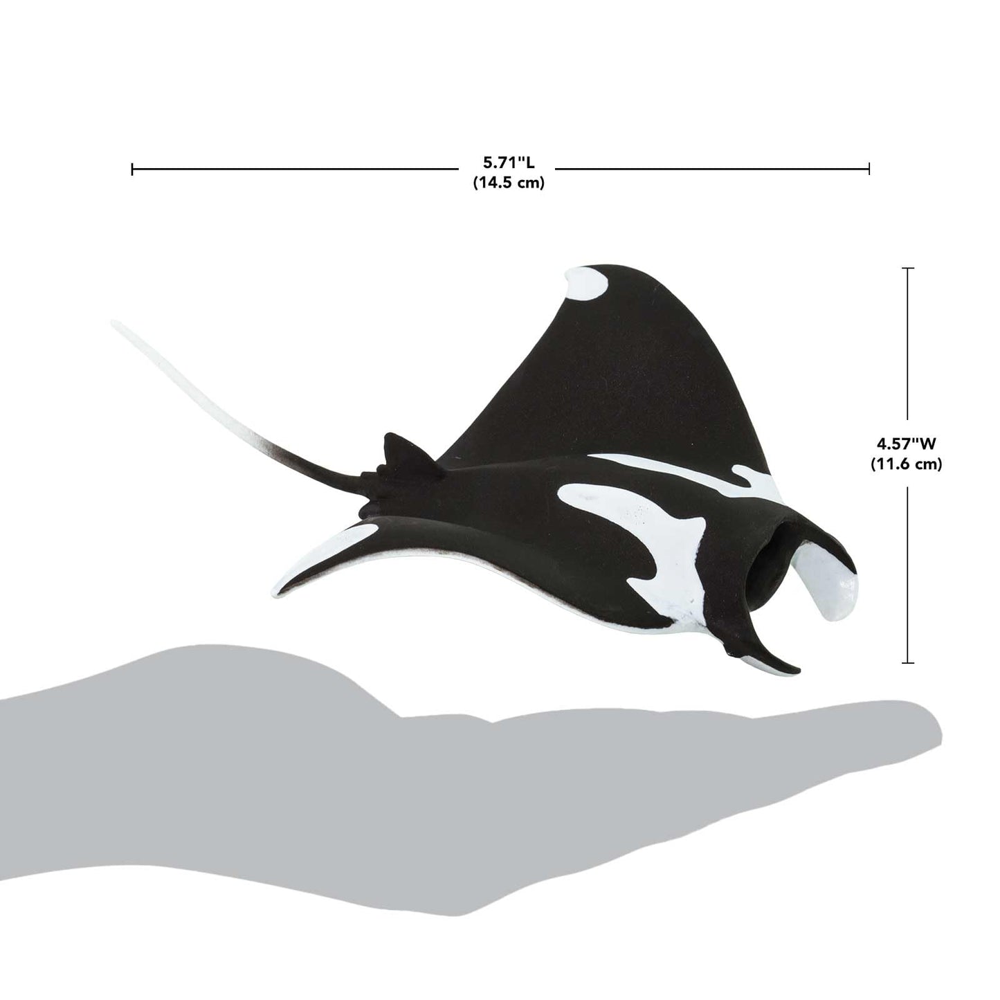 Safari Ltd. Manta Ray Figurine - Hand-Painted, Realistic 5.75" Sea Life Model Figure- Educational Toy for Boys, Girls & Kids Ages 3+
