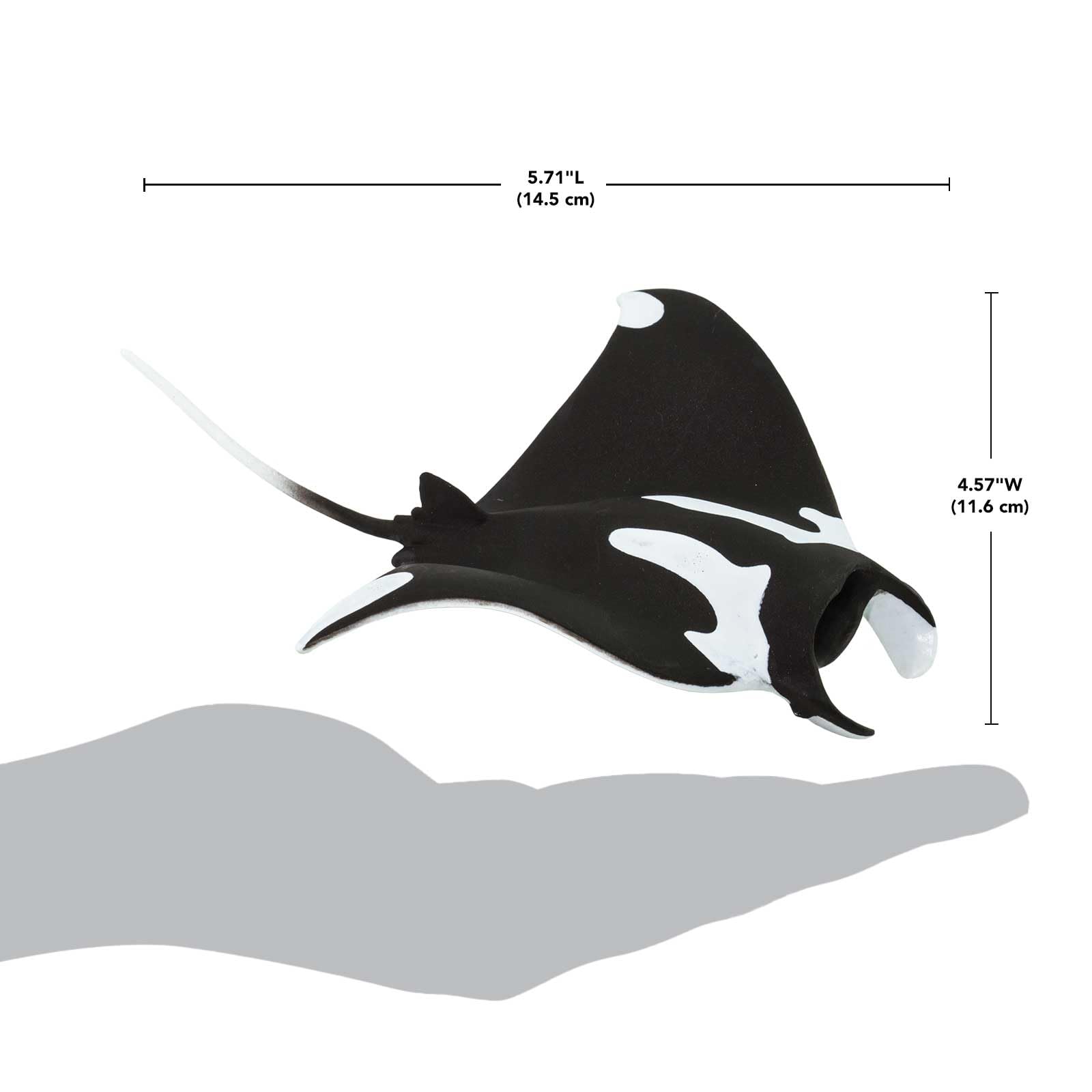 Safari Ltd. Manta Ray Figurine - Hand-Painted, Realistic 5.75" Sea Life Model Figure- Educational Toy for Boys, Girls & Kids Ages 3+