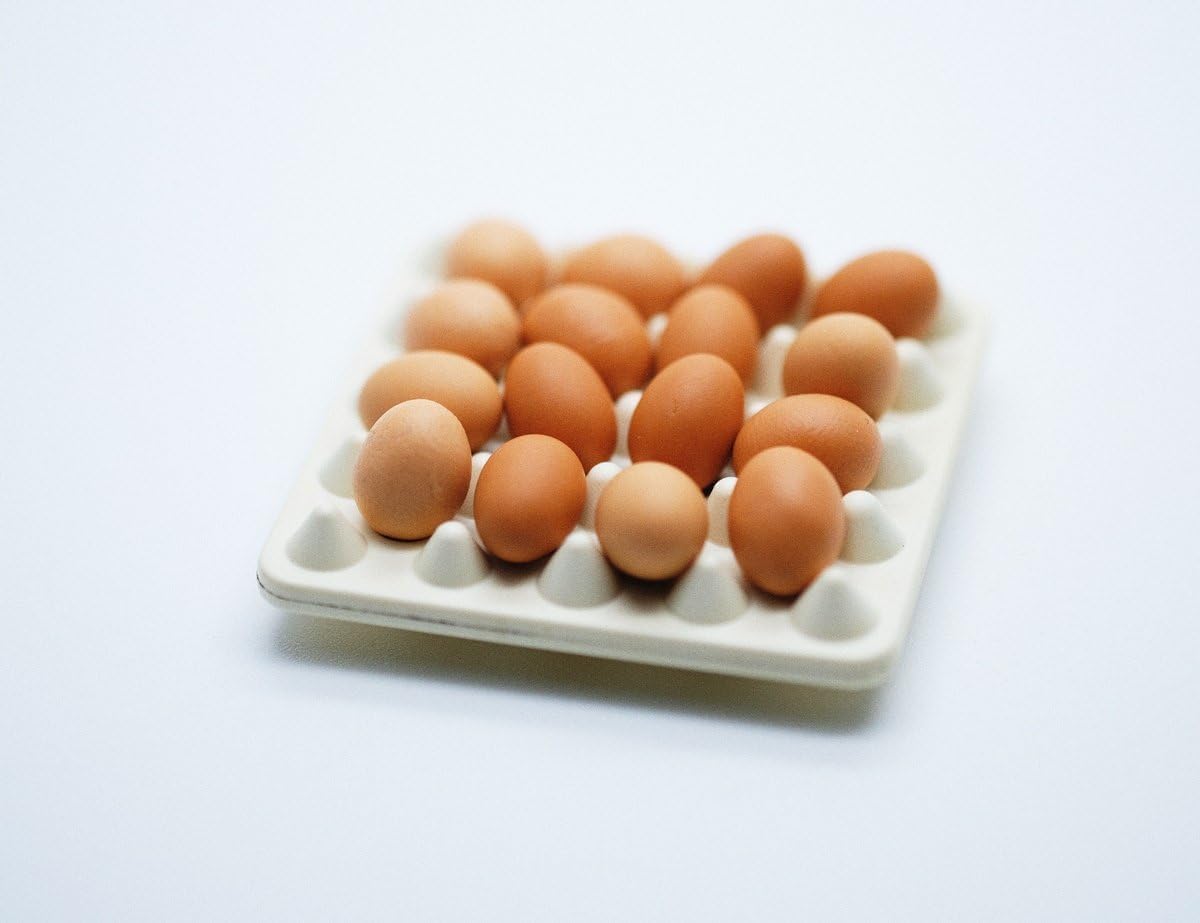 ChangThai Design Very Tiny 1¼" Wide Plastic Carton with ¼ Inch Brown Clay Chicken Eggs - Miniature Tableware Plate Tray Bowl Crockery Cutlery