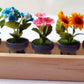 ThaiHonest Set 5 Assorted Dollhouse Miniature Flowers,Tiny Flowers in Ceramic Pot with Planter Box, Dollhouse Accessories for Collectibles