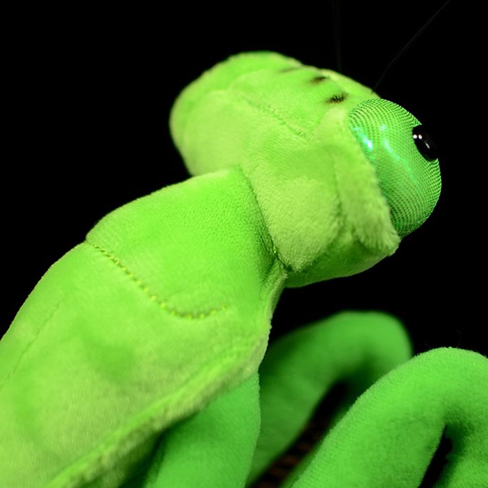 FRANKIEZHOU Simulation Green Chinese Mantis Plush,Mantis Stuffed Animal, Plush Toy,Soft Toy,Stuffed Toy,Cuddly Toys,Gifts for Kids,12 Inches Long