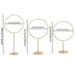 Qhinaster 103 Pcs Wizard Party Chocolate Decoration include 50Pcs Wings Wafer Cupcake Toppers 3 PCS Gold Goal Posts and 50Pcs Glue Point for Them