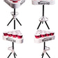Versapong Portable Beer Pong Table/Tailgate Game with Backpack Carry Case and Balls