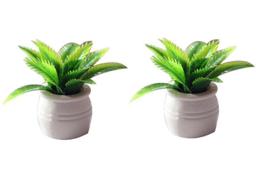 2 Pieces Dollhouse Decoration Plant Pots Miniature Green Potted Bonsai Model Dollhouse Accessories Decor,1:12 Scale Doll House Miniature Plant Model