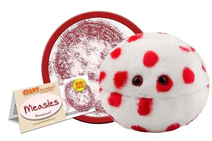GIANTmicrobes Measles Plush, Pediatrician gifts, Funny Doctor Gifts, Biology Gifts, Public Health, Immunologist Gifts, Epidemiologist Gifts, Biology