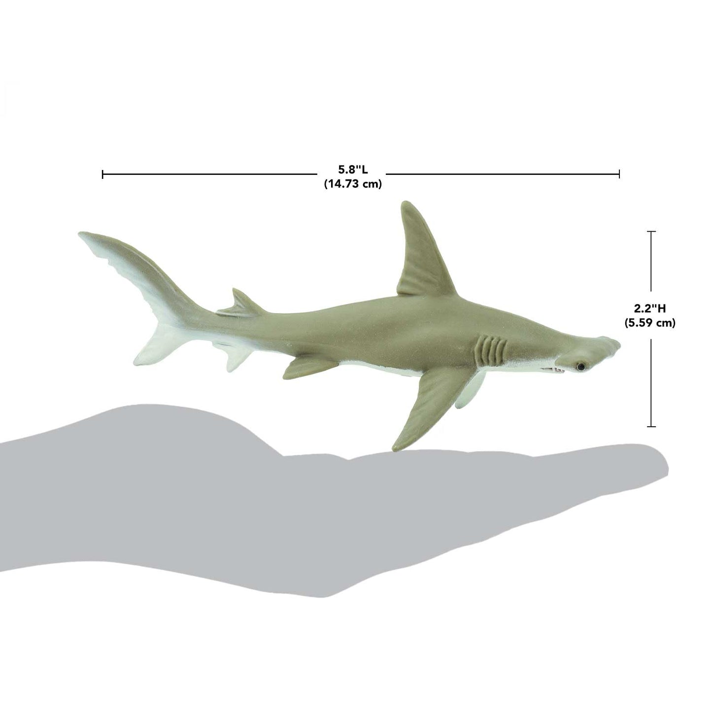 Safari Ltd. Hammerhead Shark Figurine - Detailed 6.5" Plastic Model Figure - Fun Educational Play Toy for Boys, Girls & Kids Ages 1+