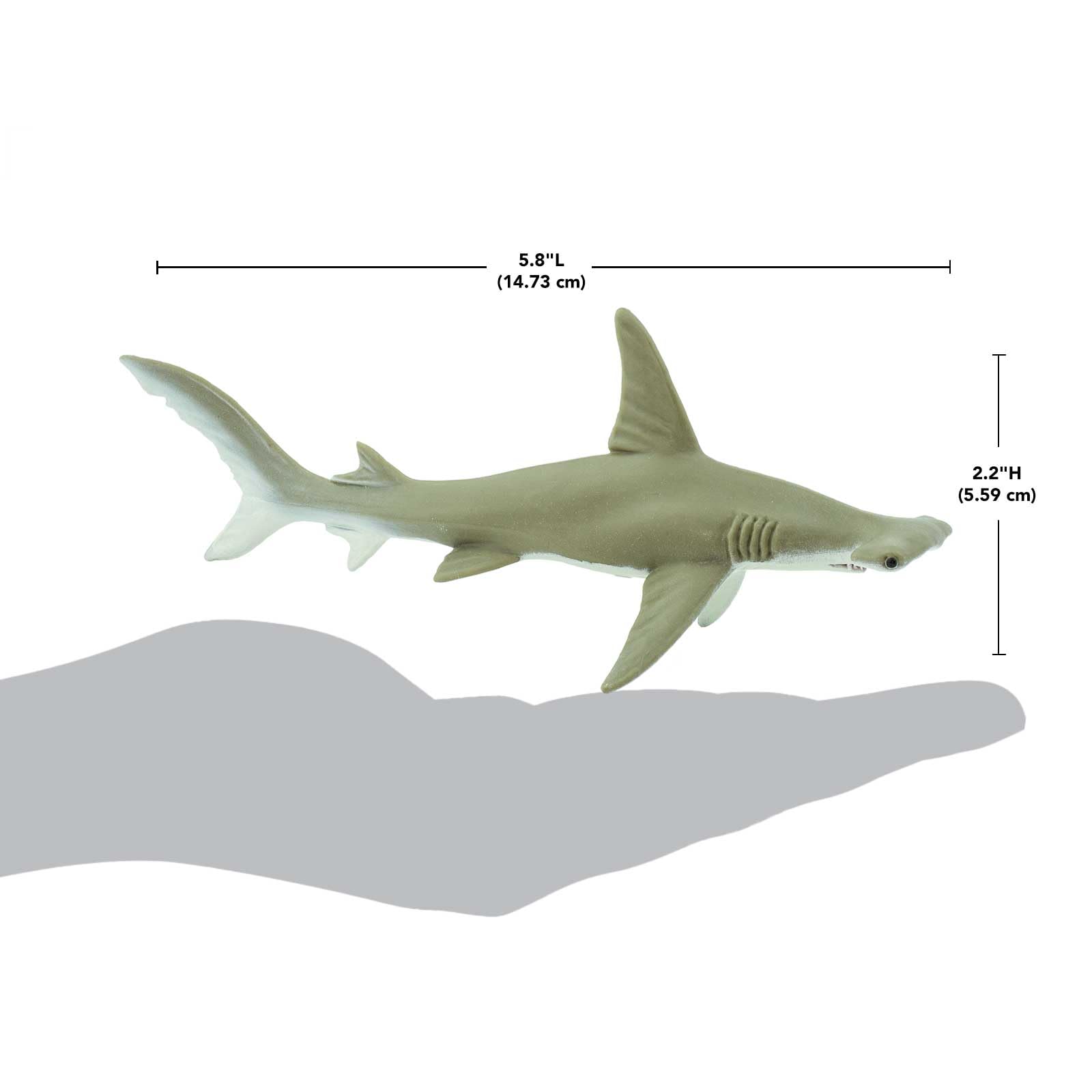 Safari Ltd. Hammerhead Shark Figurine - Detailed 6.5" Plastic Model Figure - Fun Educational Play Toy for Boys, Girls & Kids Ages 1+
