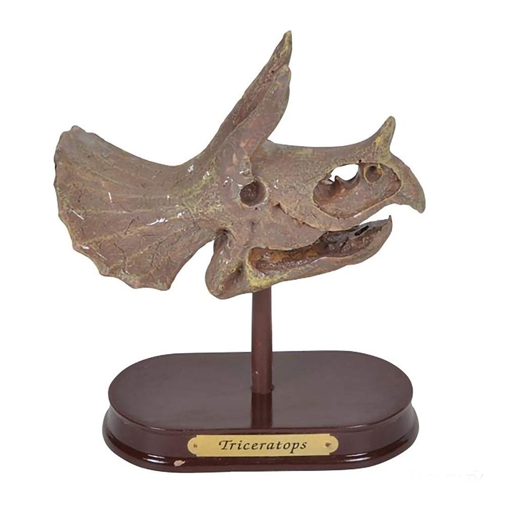 ArtCreativity Dinosaur Excavation Kit for Kids, 5.5” Triceratops Skull Excavating Set with Fossil Digging Tools and Stand, Fun Science Activity Toy