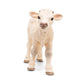 Papo Charolais Calf Figure