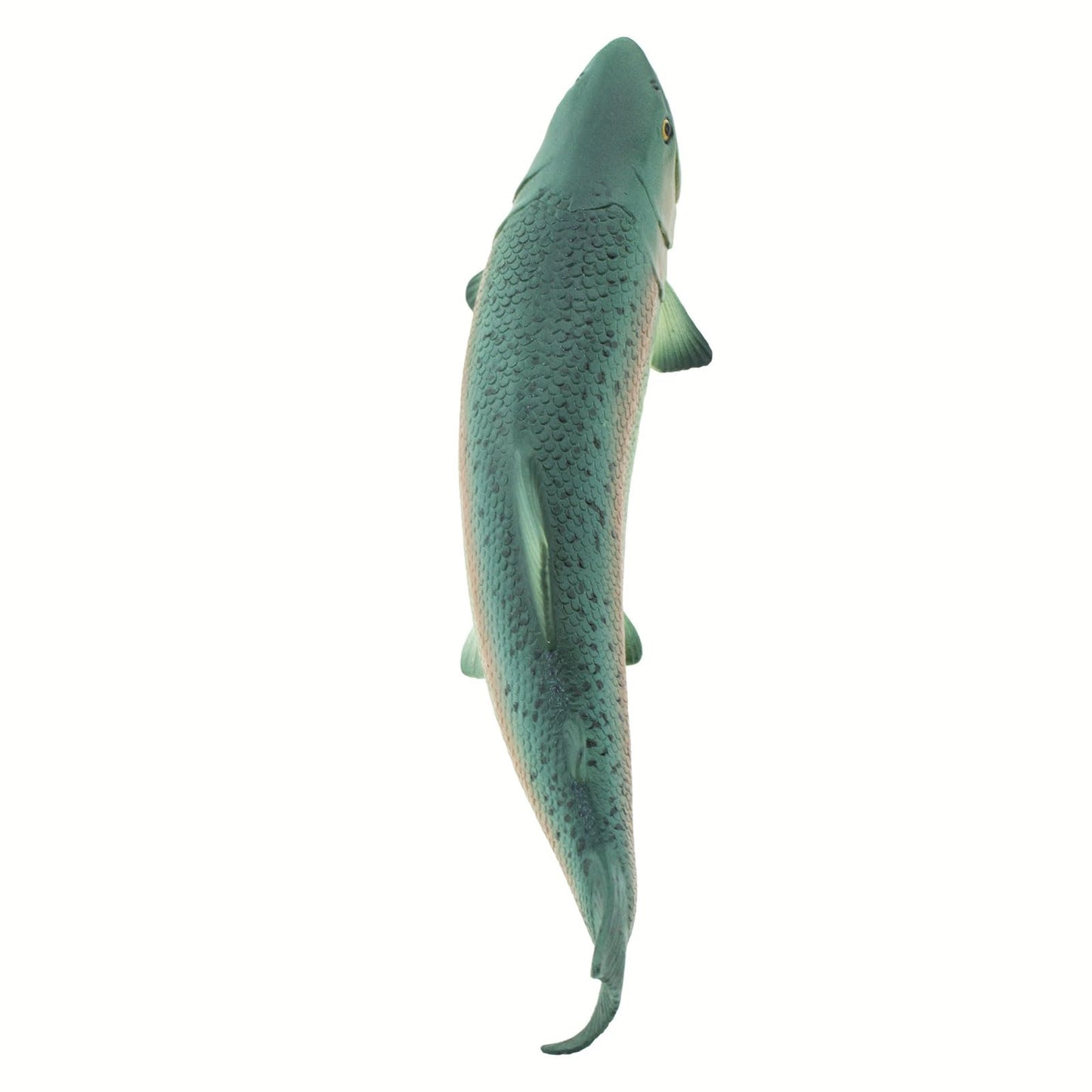 Safari Ltd. Salmon Fish Figurine - Detailed 7" Plastic Model Figure - Fun Educational Play Toy for Boys, Girls & Kids Ages 3+