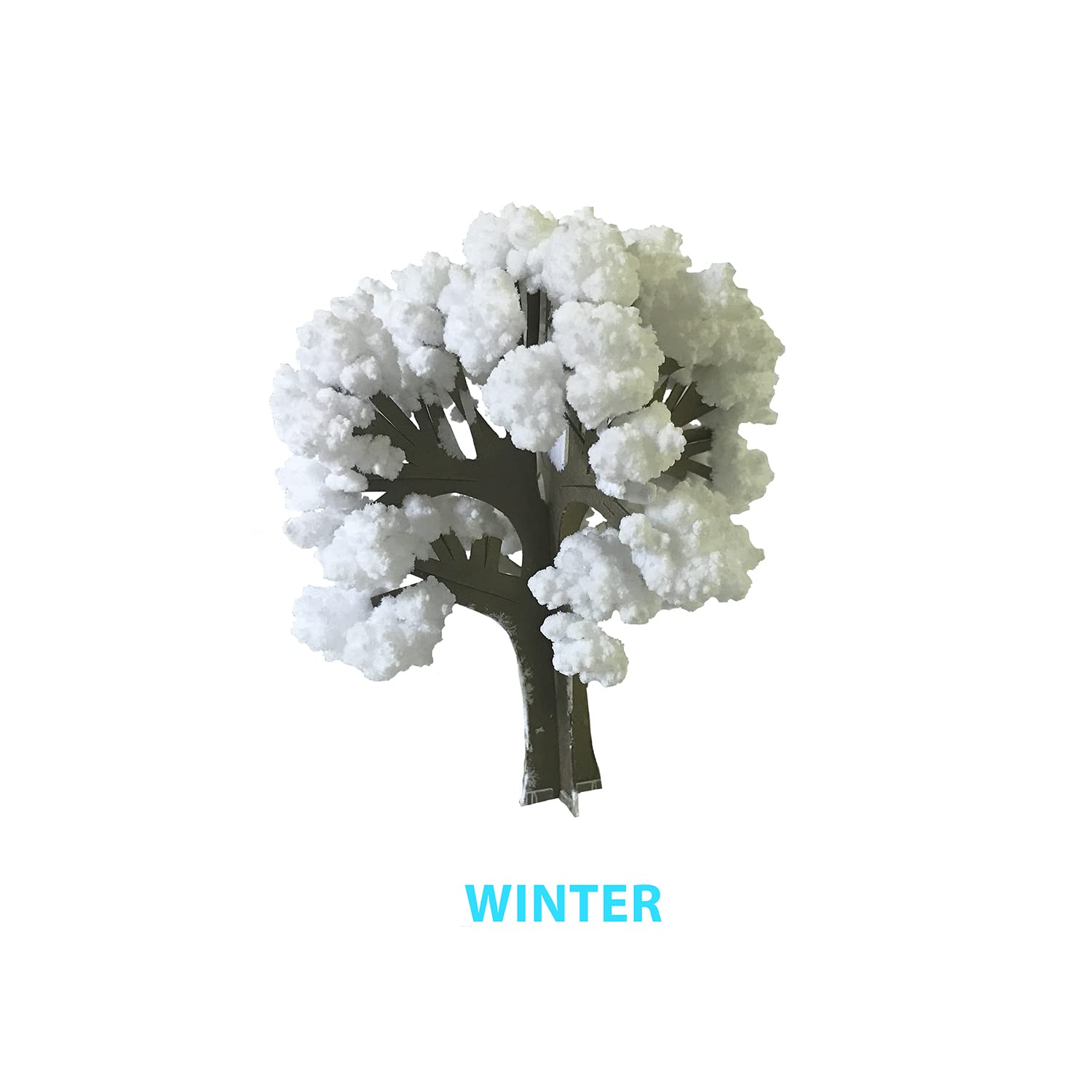 Crystal Growing Seasons Kit | Grow All 4 Seasons Today | Safe, Fun and Fast | Instructions & Facts Included | Copernicus Toys