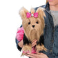The Ashton-Drake Galleries Pampered Pooch Yorkie