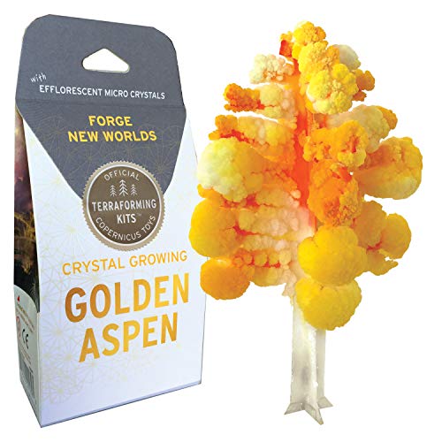 Crystal Growing Aspen Tree | Copernicus Toys Official Terraformer kit | Grows in Hours | Facts and Instructions Included