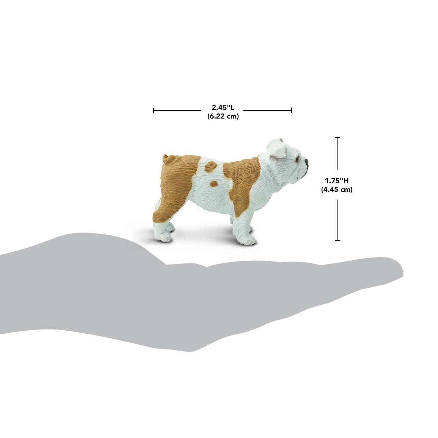 Safari Ltd. Bulldog Figurine - Lifelike 2.25" Model Figure - Educational Toy for Boys, Girls, and Kids Ages 3+