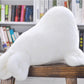 14 Inch Sea Lion Plush Toys Seal Stuffed Plush Toys Animal Doll