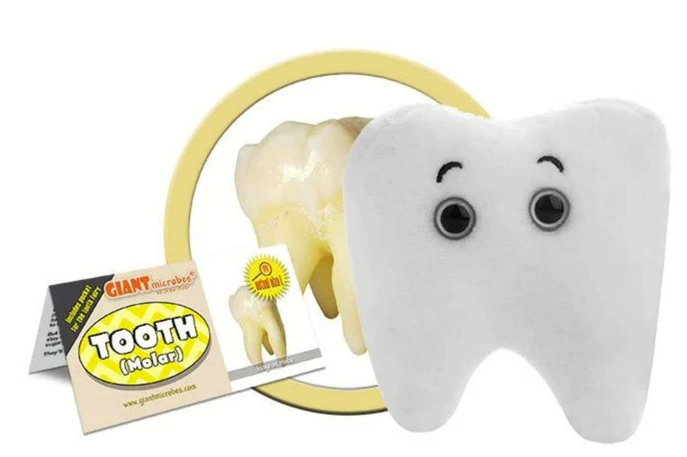 GIANT MICROBES Tooth Plush, Oral Surgery Recovery, Dentist Appreciation Gifts, Tooth Fairy Pillow, Dentist Toy, Dental School Gifts