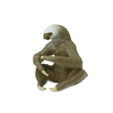 Safari Ltd. Two-Toed Sloth Figurine - Detailed 2.25" Plastic Figure - Educational Toy for Boys, Girls, and Kids Ages 3+