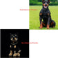 FRANKIEZHOU Realistic Doberman Plush - 12" Lifelike Stuffed Animal, Soft Toy Dog, Gifts for Kids, Baby Gift, Cute Plush, Home Decor, Pet Favorite