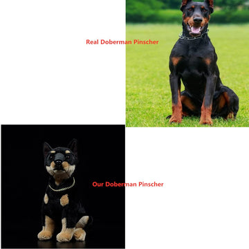 FRANKIEZHOU Realistic Doberman Plush - 12" Lifelike Stuffed Animal, Soft Toy Dog, Gifts for Kids, Baby Gift, Cute Plush, Home Decor, Pet Favorite