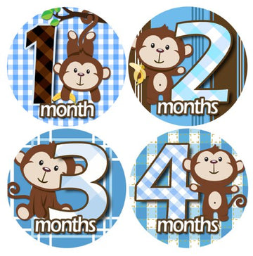 Baby Monthly Milestone Stickers, Baby Milestone Sticker, Monthly Age Month Stickers, Baby Boys Stickers, Newborn Boy Month Stickers for Little Boy