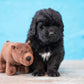 Spunky pup Clean Earth Plush Bear | Made from 100% Recycled Water Bottles |Large,Brown,7212