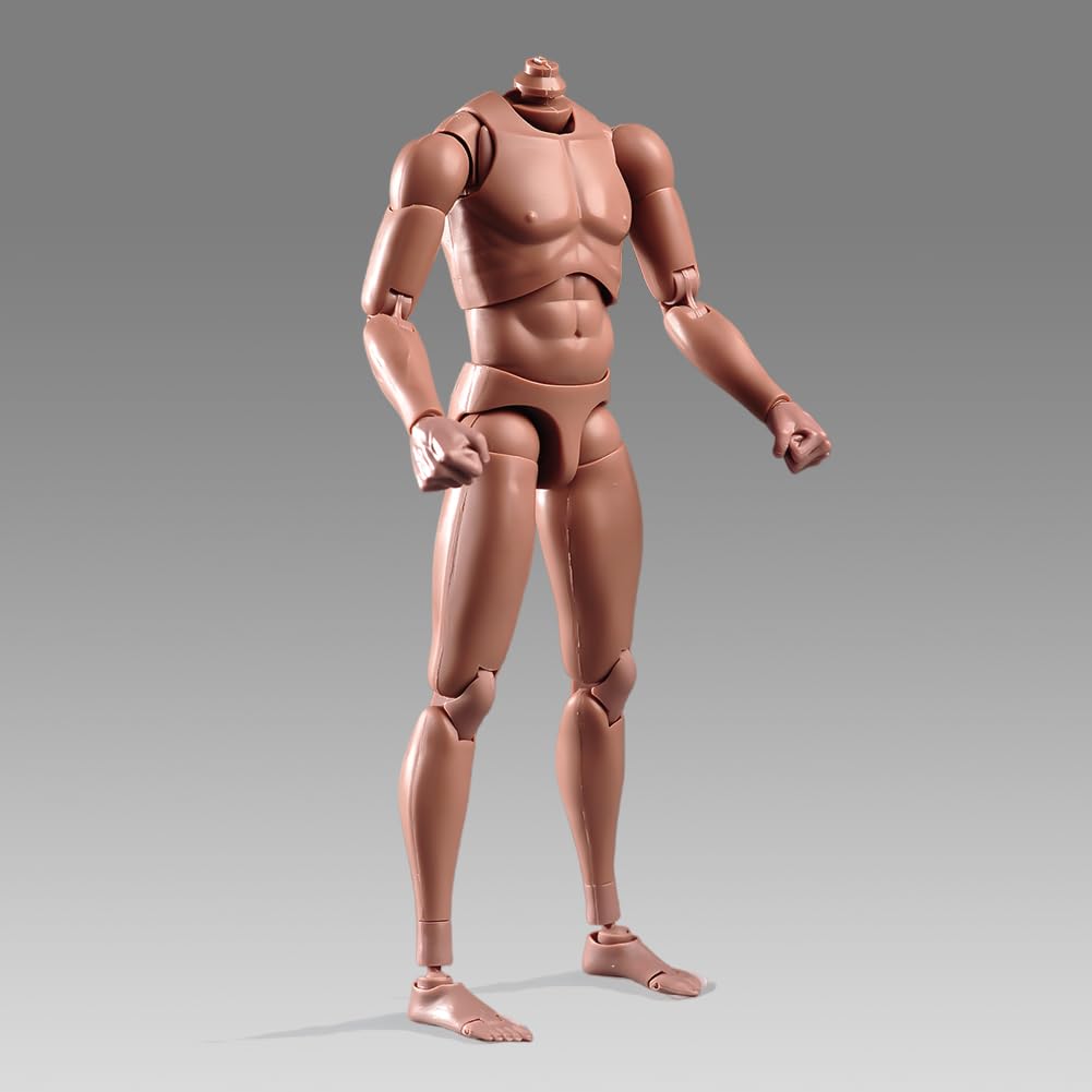 SOUFORCE 1:6 Scale Muscle Male Action Figure Europe Skin 12 Inch Flexible Male Figure Body Doll Miniature Figure Without Head Sculpt