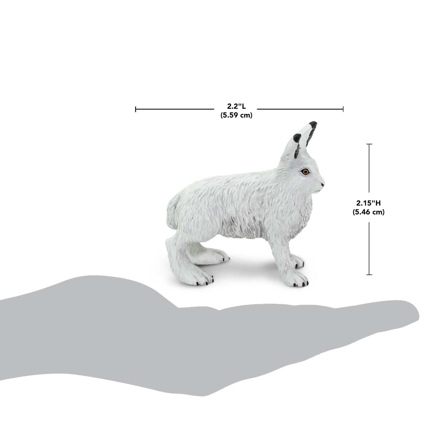 Safari Ltd. Arctic Hare Figurine - Detailed 2.5" Plastic Model Figure - Fun Educational Play Toy for Boys, Girls & Kids Ages 3+