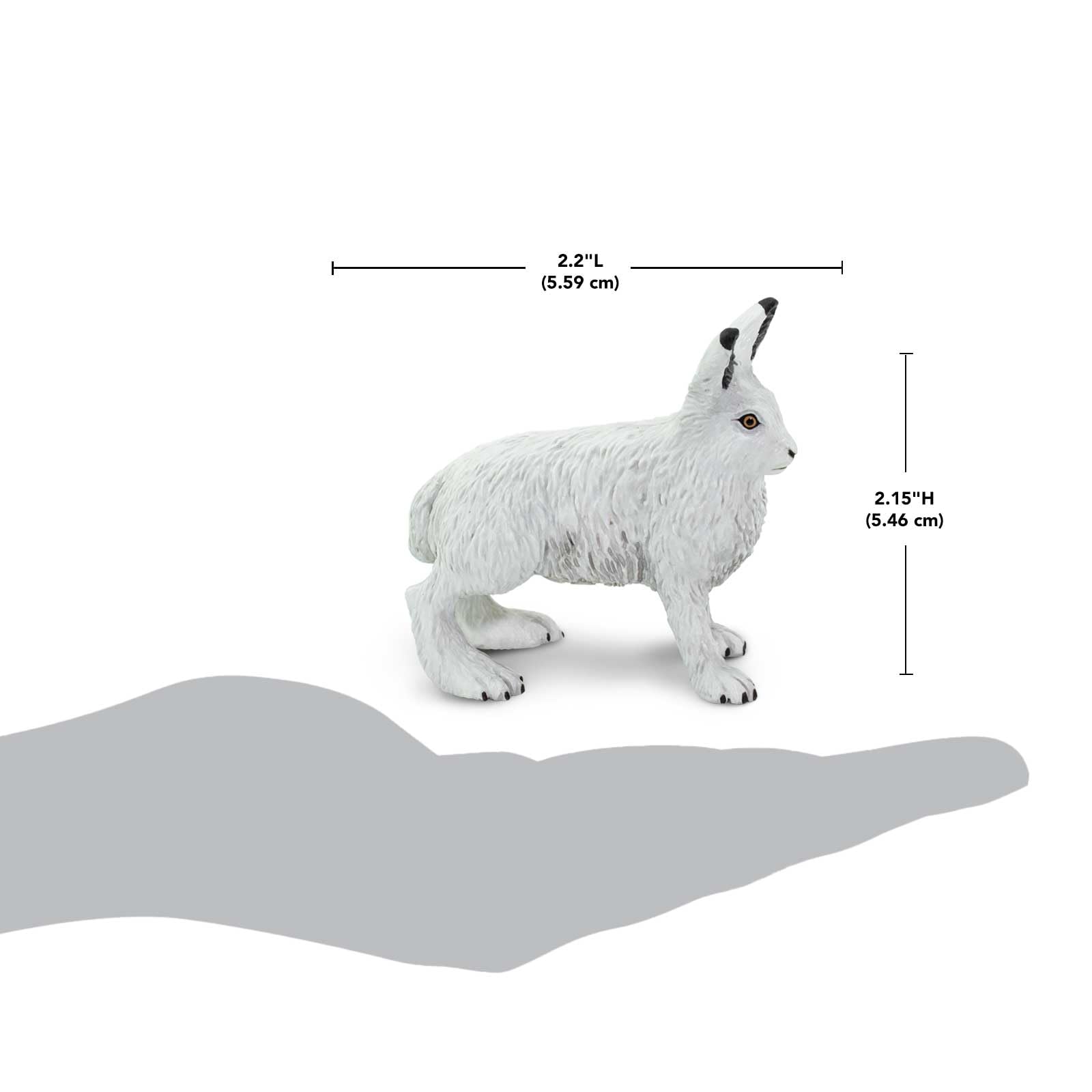 Safari Ltd. Arctic Hare Figurine - Detailed 2.5" Plastic Model Figure - Fun Educational Play Toy for Boys, Girls & Kids Ages 3+