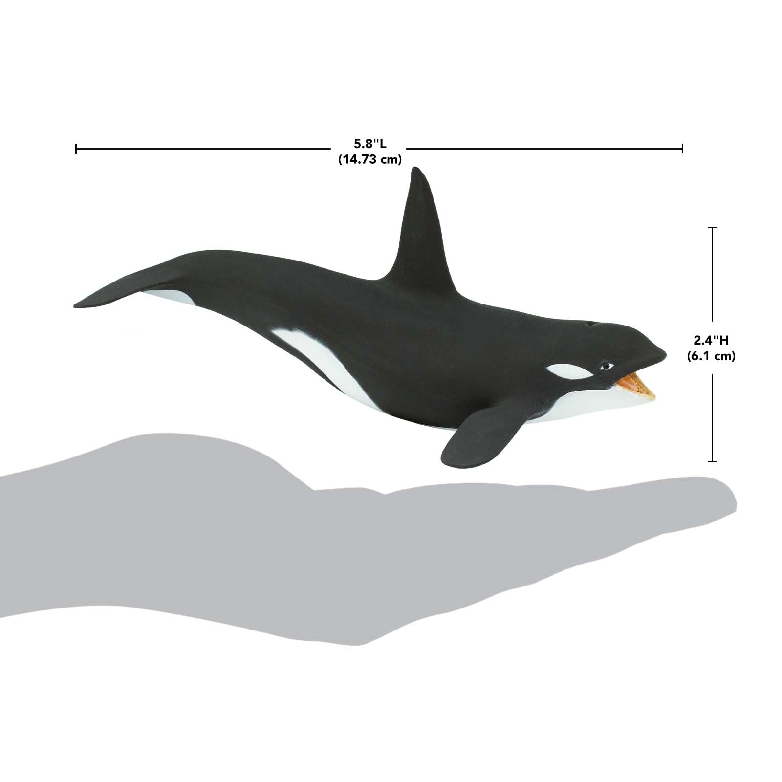 Safari Ltd. Killer Whale (Orca) Figurine - Detailed 7" Plastic Model Figure - Fun Educational Play Toy for Boys, Girls & Kids Ages 3+