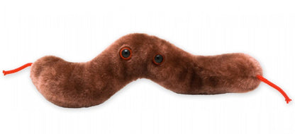 GIANTmicrobes Diarrhea Plush - Learn About Digestive Health, Campylobacter Bacteria and How it Affects The Body, Humorous Gift for Friends, Doctors