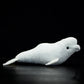 Frankiezhou Home Beluga Whale Plush Toy - Realistic 20.5" Grey Lifelike Frilled Six Gill Shark Stuffed Toy, Super Soft Sea Creatures Sharks Model
