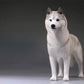 Lana Toys 1:6 Scale Siberian Husky Dog Pet Figure Puppy Animal Model Resin Decoration Gift (Light Gray)