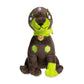 Pokémon Center: Zygarde (10% Forme) Sitting Cuties Plush, 6 Inch
