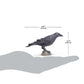 Safari Ltd. Raven Figurine - Realistic 3" Bird Figure - Educational Toy for Boys, Girls, and Kids Ages 3+