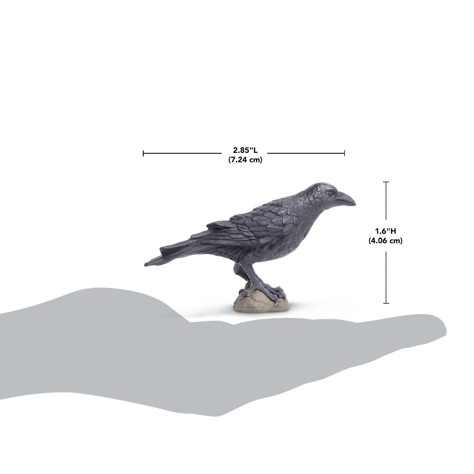 Safari Ltd. Raven Figurine - Realistic 3" Bird Figure - Educational Toy for Boys, Girls, and Kids Ages 3+