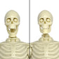 Figures Toy Company Super Articulated 8 Inch Skeleton Action Figure